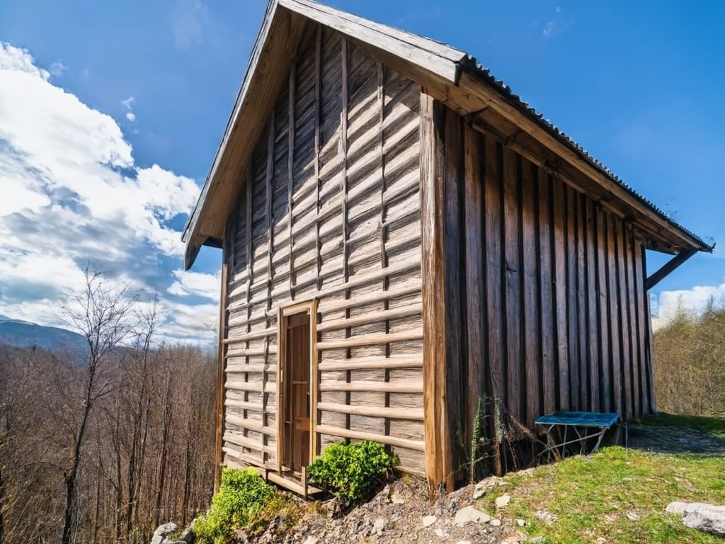 MuMa Hut on a ledge in a forest
