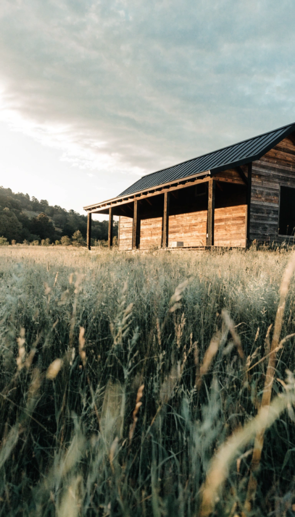 Special ranch house in field Wooden barn in a sunlit field with tall grasses and distant hills
