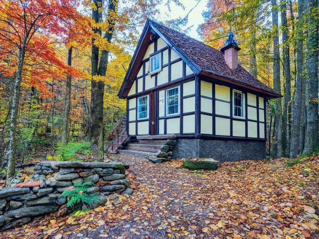 Tiny house pros and cons Old tiny house in a wooded area