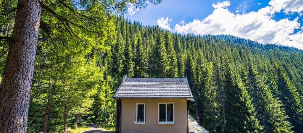 small house in a forest next to a ledge