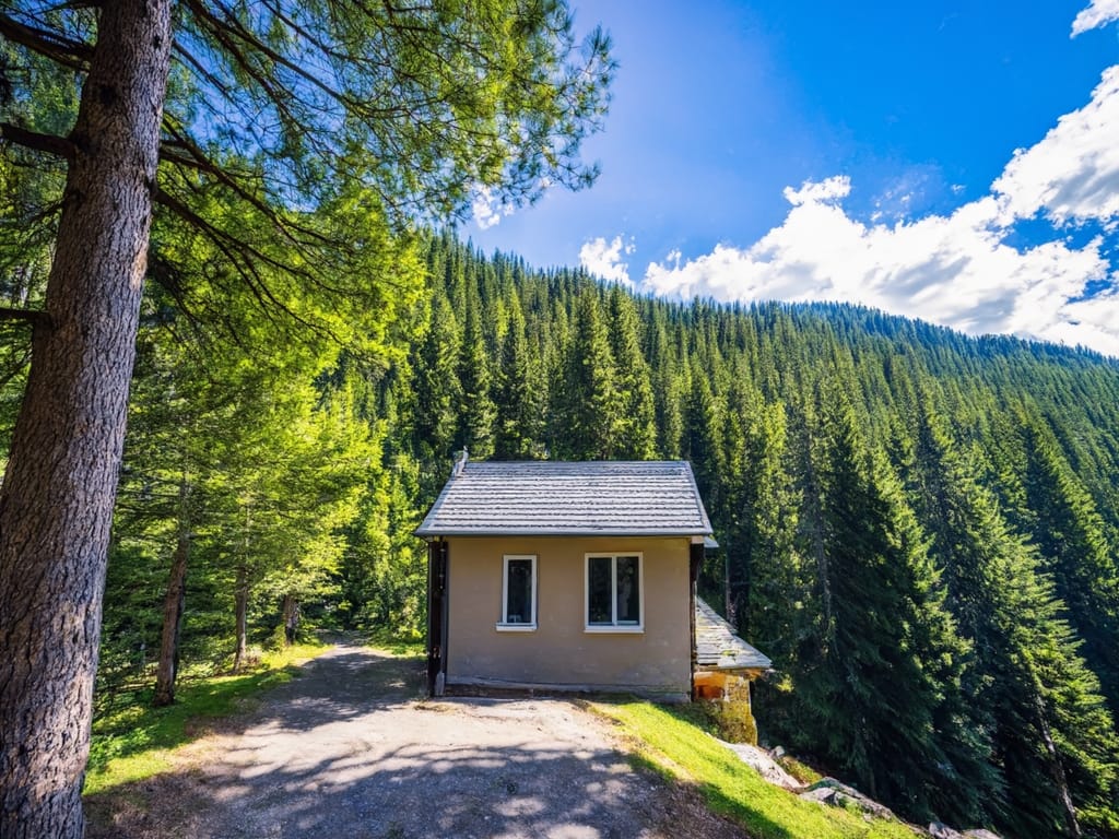 Exploring the Smallest House: A Journey Through Tiny Living Spaces