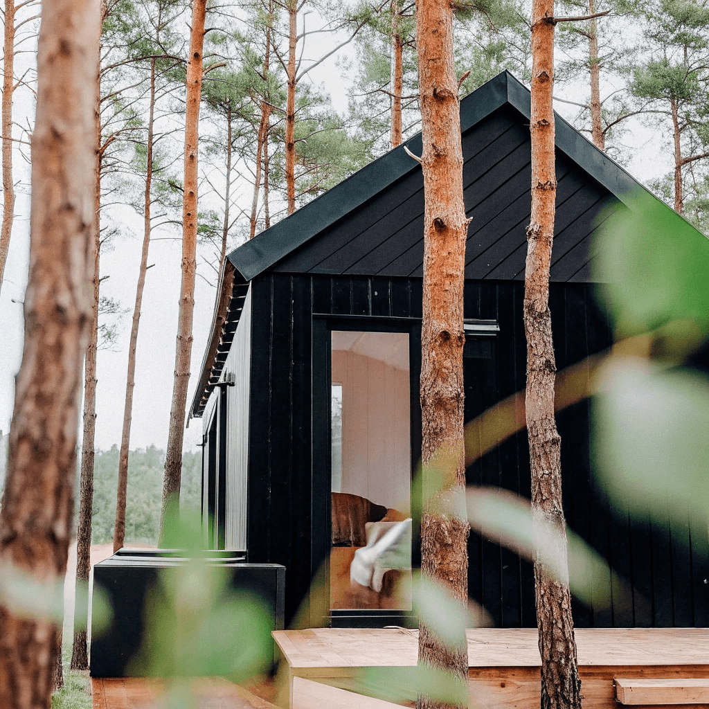 Modern tiny cabin in the woods Modern black tiny home surrounded by forest trees