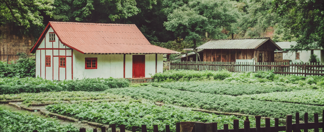 Amish home in a wooded area